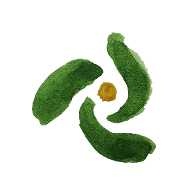 REGENERATIVE LIVING