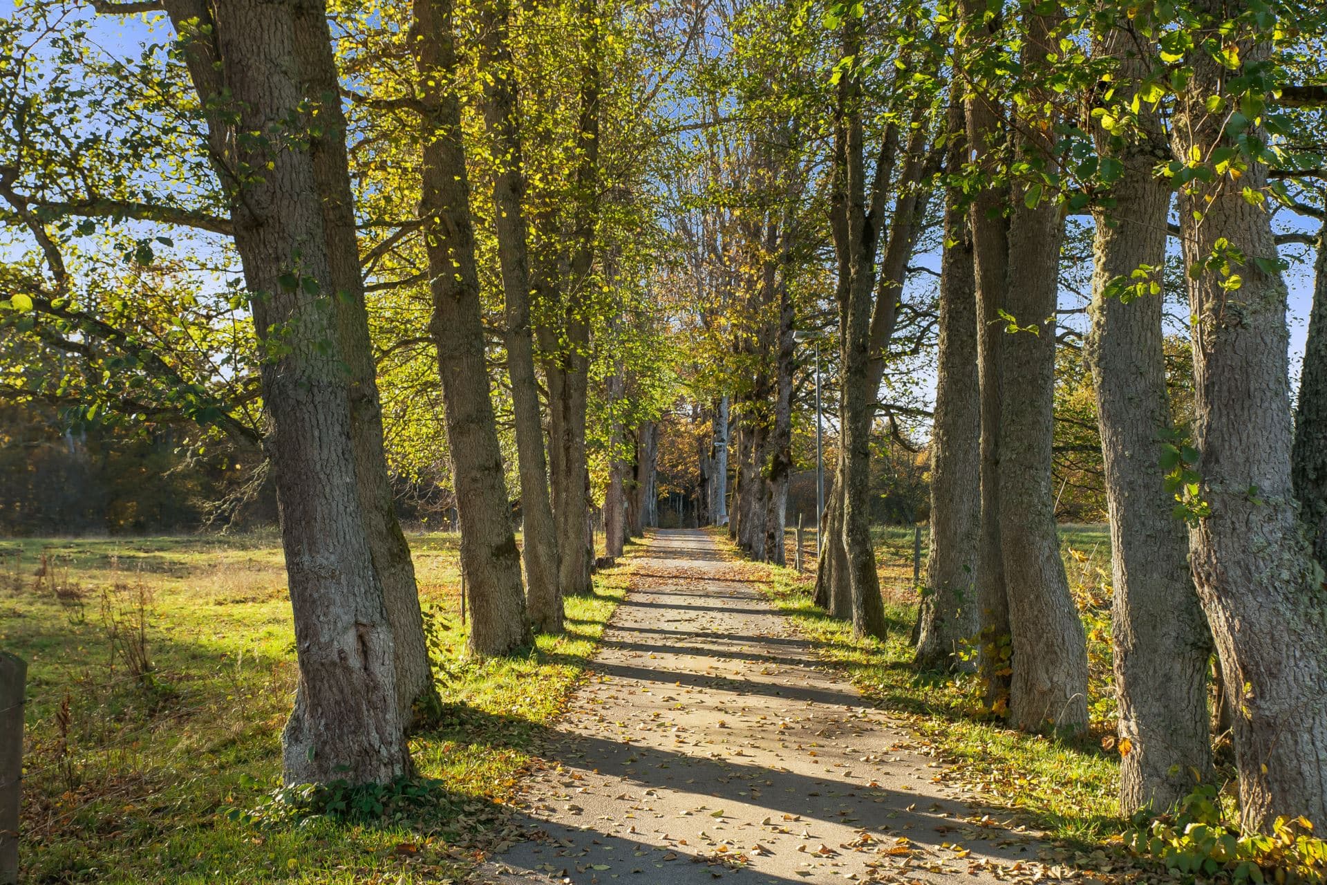 Host an event at Earthbound Ecovillage